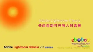 Adobe Lightroom Classic 关闭自动打开导入对话框 - 普通话教学
