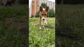 я люблд Россию♡︎))