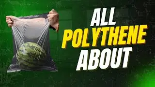 Polythene (LDPE ,HDPE ,LLDPE )