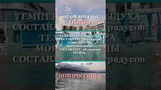 Новороссийск.  05. 08. 2024 год.
