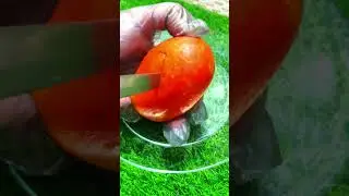 tomato cutting style for salad #tomato #tomatoes #cuttingskills #foodshorts #fruitcutting #vegan