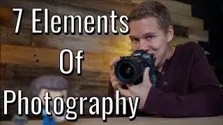 7 Elements of Photography to Help Level Up Your Photography Game