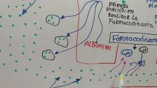 Farmacocinética de los Opioides