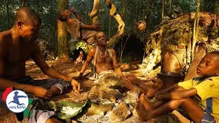 World's Smallest People Pygmies of Africa in Danger of Extinction