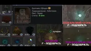 STALCRAFT DJSOPOV ЗАЛУТАЛ КУЧУ ДОРОГИХ АРТЕФАКТОВ УРА