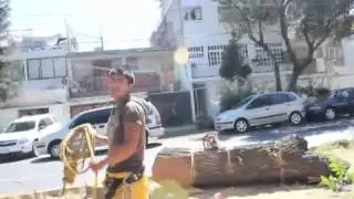 ECOCIDIO