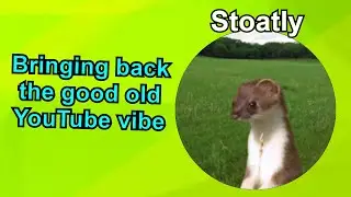 Stoatly is UNSTOPPABLE