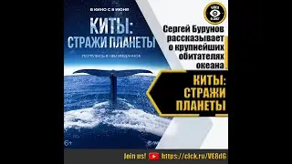 КИТЫ СТРАЖИ ПЛАНЕТЫ   РУССКИЙ ТРЕЙЛЕР 2023