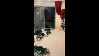 Когда переиграл в CS GO