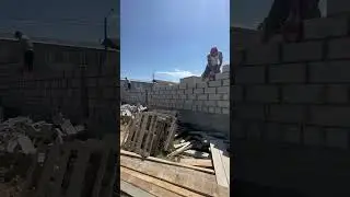 31 июля 2024 г.