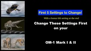 The First 5 Settings to change on your OM-1 Mark I and Mark 2
