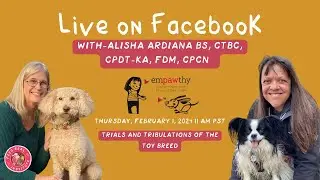 .Kay and Alisha discuss feeding, weight management, oral health, and training for toy breed dogs.