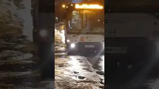 🇷🇺Прибытие автобуса ЛиАЗ-529260 марш. №8 