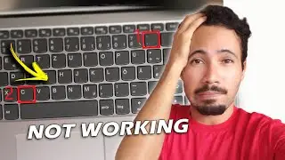 Laptop Keyboard Not Working Windows 10/11 ⌨ [FIXED]
