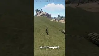 Куда же он так бежит ? 
