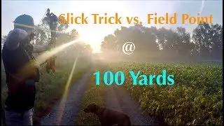 Slick Trick vs. Field Point at 100 yards
