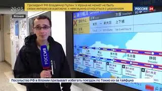 Typhoon in Japan, consequences of 2019