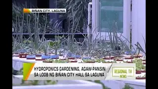 Regional TV News: Hydroponics