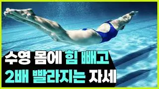 기본 중 기본이죠 유선형라인 자유형 평영 접영 배영 스트림라인