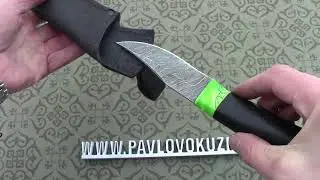 Выпуск № 17, 2023.