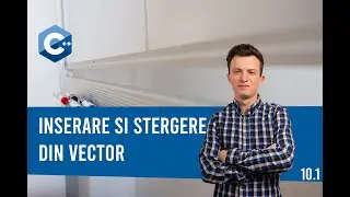 Tutorial C++ | Inserare si stergere vectori