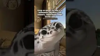 Заплакать или закричать? #мем #юмор #shorts