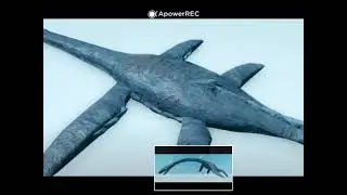 Dragon Elasmosaurus and Elasmosaurus top view