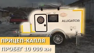 РЕАЛЬНЫЙ осмотр и ОТЗЫВ спустя 10 000 км прицеп-кемпер Alligator. Обзор каравана / автодома