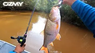 Memburu Sebarau Sungai : BADONG!