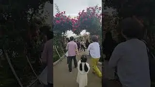 SEOUL ROSE FESTIVAL
