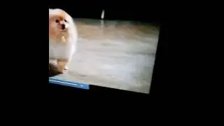 F me aw f me sideways (Blade Trinity)