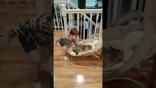 The big brother conflicts with a cat / Старший брат конфликтует с кошкой