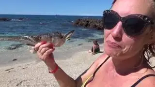Costa Rica 2016