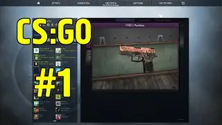 CS:GO Контракт обмена #1 | P-250 Роспись