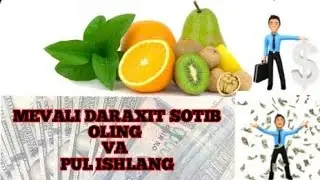 INTERNETDA PUL ISHLASH ENG ZOR SAYT REALNI SAYT PUL TOLAYAPTI