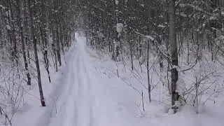 Прогулка на природе (Зимняя сказка) рядом с Сыктывкаром