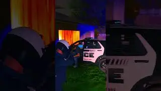 Traffic Stop Go Wrong #lspdfr #gta5