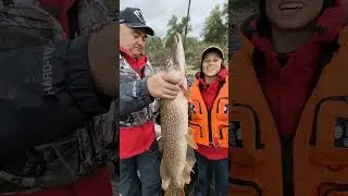 Live bait or silicone? Caught a giant😲 