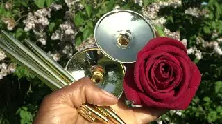 it is Already Release The Love Bomb The Atom Love Energetically For Humanity & Paradise Within.. 💚