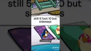 Cowbelly Club Penguin Tik Tok