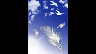 The magical properties of bird feathers