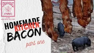 Homemade Kitchen Bacon 🥓