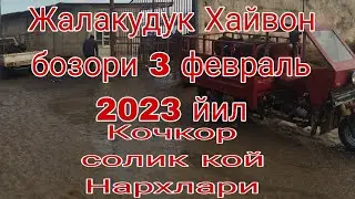 Жалакудук Хайвон бозори Кочкор солик кой Нархлари 3 февраль 