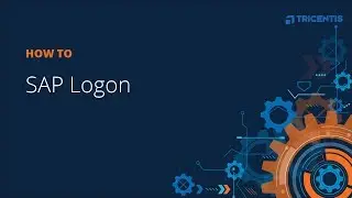 How To: Use SAP Logon Standard Module