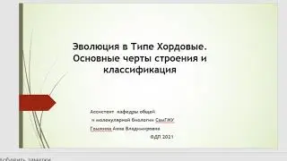 Лекция 20.фдп Хордовые