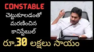 రూ.30 లక్షలు సాయం : చెట్టుకూలడంతో మరణించిన కానిస్టేబుల్