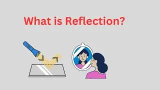 Reflection of Light || Laws of Reflection class 10th Physics