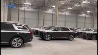 hongqi ehs9