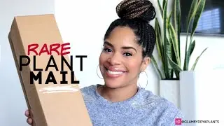 GABRIELLA PLANTS UNBOXING / VERY RARE PLANT