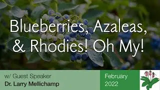 Blueberries, Azaleas, and Rhodies! Oh My!